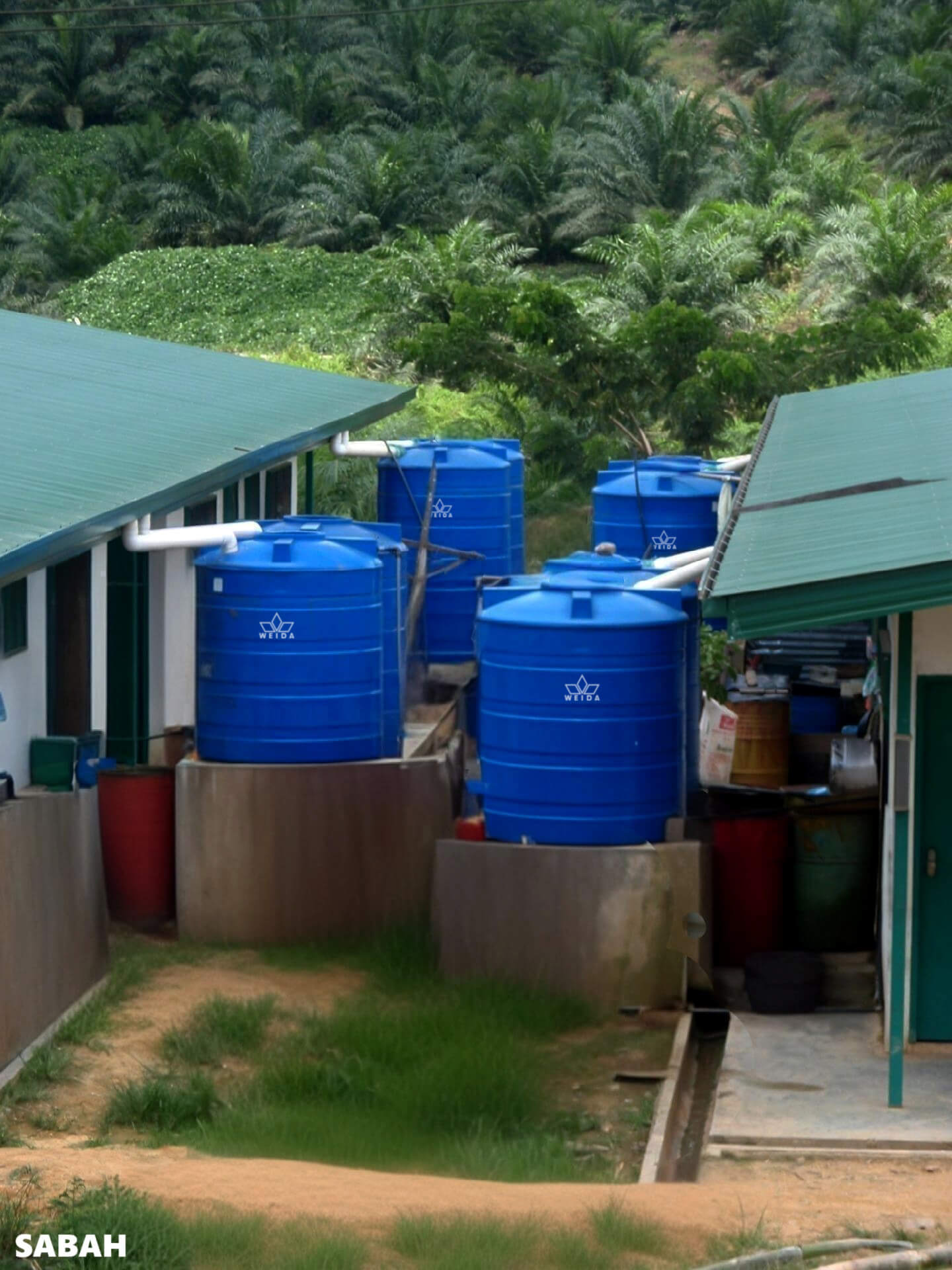 Labau Estate Sri Jaya-Innoprise Plantation Quarter, Sabah