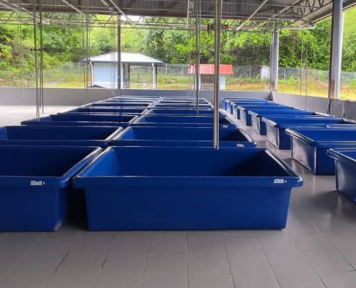 Aqualife RT10FF at Kunak, Sabah