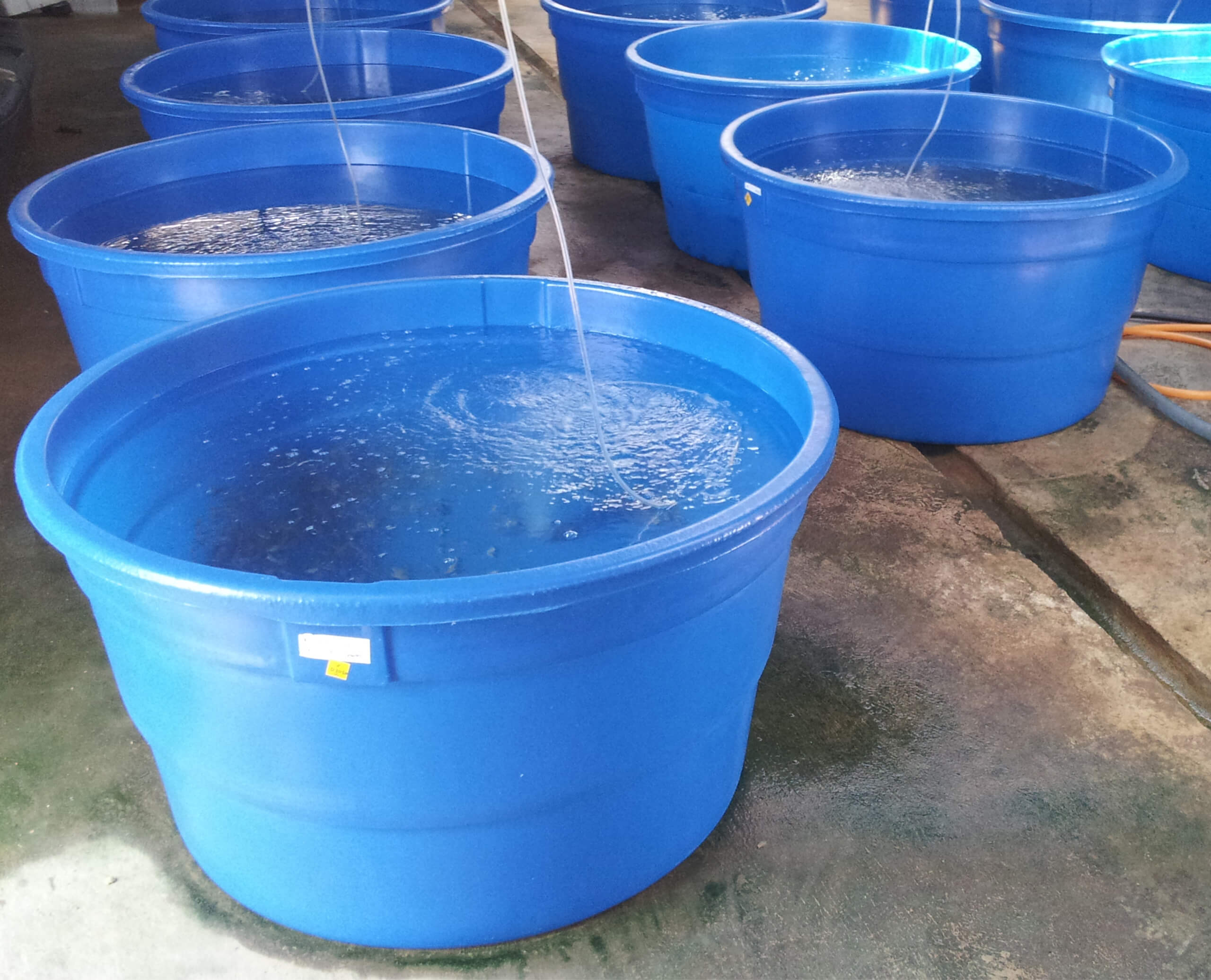 Aqualife R4.5TF at Kunak, Sabah