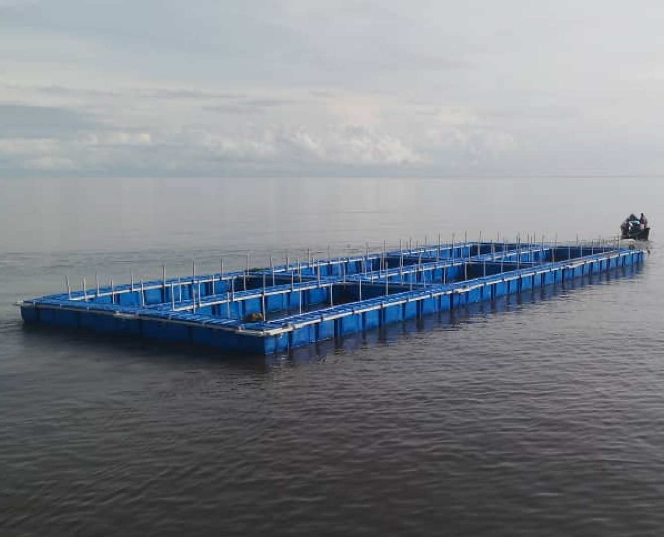 Sarawak Aquaculture ZIA Project at Batang Ai, Lubok Antu, Sri Aman