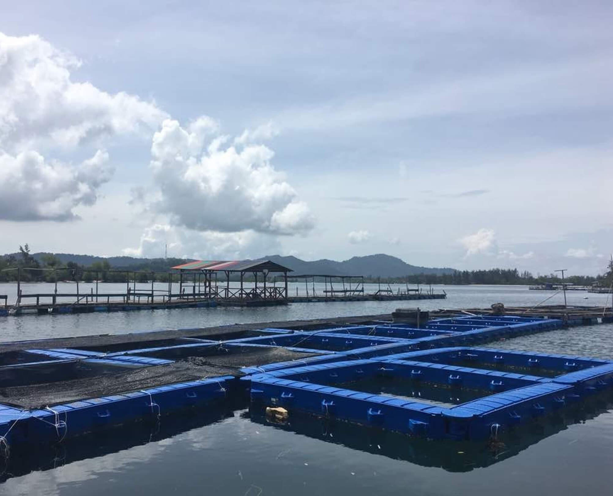 Weidacage III - Multiple System Ko Nelayan at Kg Trayong-Sabah (JPS), Sabah