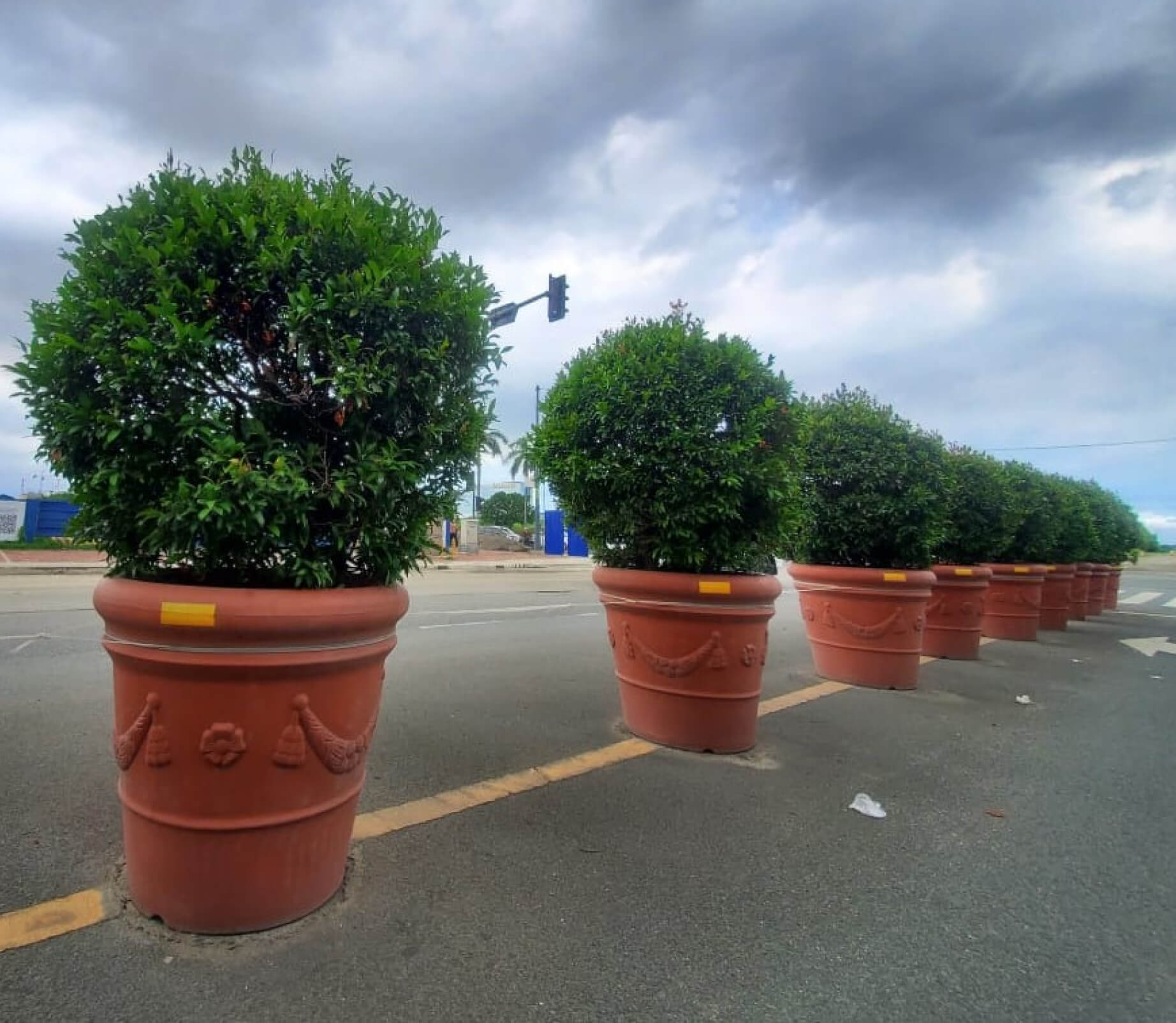 POLYPLANTER